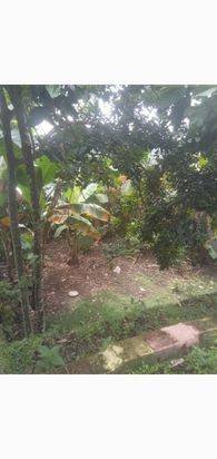 Dijual tanah di Kalipancur, Semarang Kota Harga Murah
