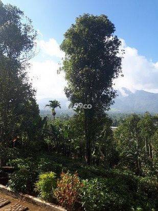 Jual Murah Rumah/Villa Kebun Asri dan  hawa Sejuk