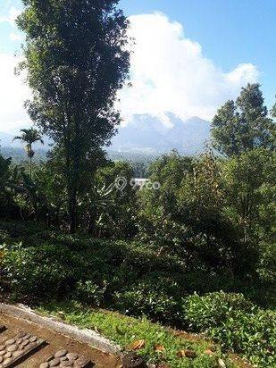 Jual Murah Rumah/Villa Kebun Asri dan  hawa Sejuk
