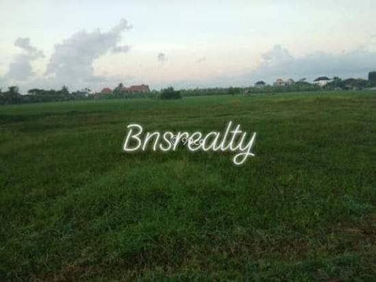 Tanah 3are harga 650jt/are view sawah Dilingkungan Wisata