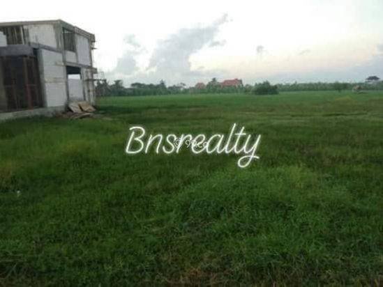 Tanah 3are harga 650jt/are view sawah Dilingkungan Wisata