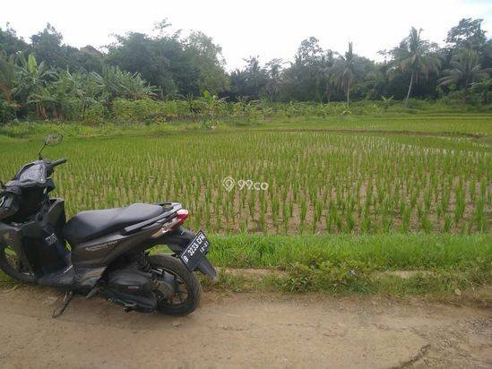 1800m2.SPPT/GIRIK Tanah di Kec Jasinga Bogor Barat
