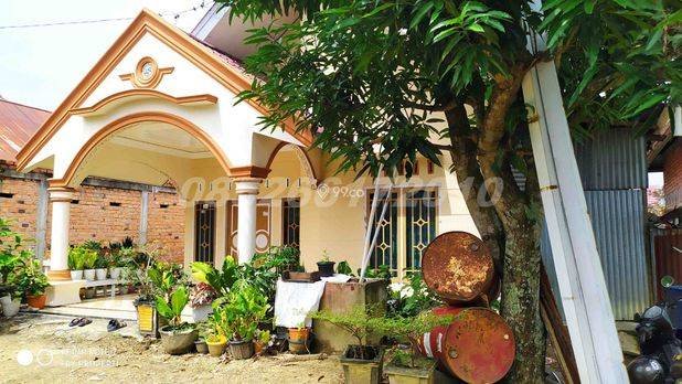 Rumah Siap Huni Luas Tanah 430 m2 Lokasi Bagan Pete Kota Jambi