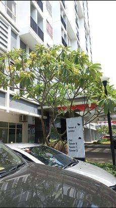 Apartemen di Gading Serpong - SCIENTIA RESIDENCE - STUDIO FF