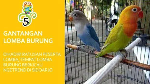 Rumah murah Tanpa DP Type 36/91 | Perum TAS 5 Sidoarjo