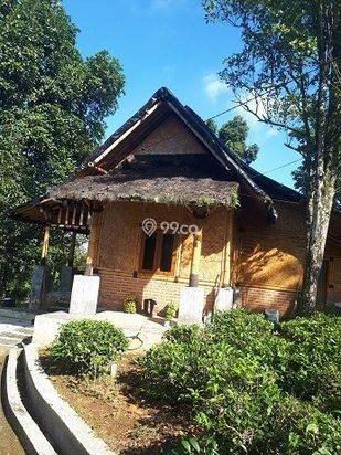 Jual Murah Rumah/Villa Kebun Asri dan  hawa Sejuk