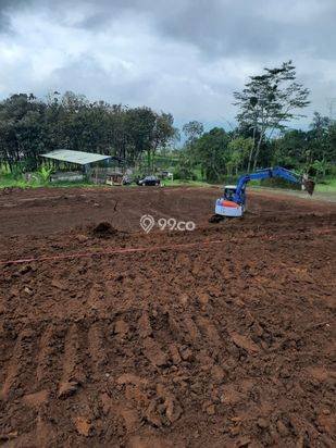 Rumah Villa Desain Bagus dan Super Strategis di Karangploso Ma Rumah Villa Desain Bagus dan Super Strategis di Karangploso Ma