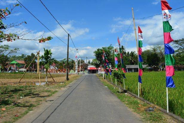 Area Kampus UMM Magelang, Tanah Kavling Sertipikat SHM