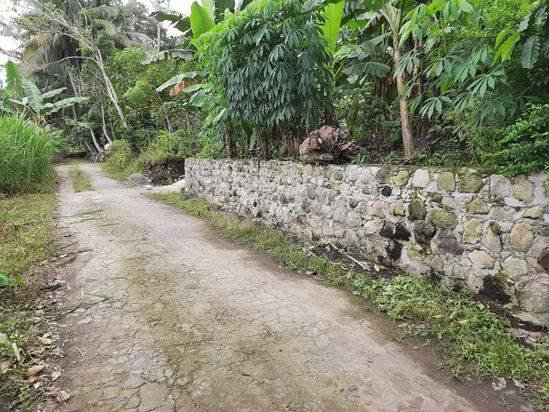 Pekarangan view sawah hanya 100jtaan saja Manisrenggo,Klaten