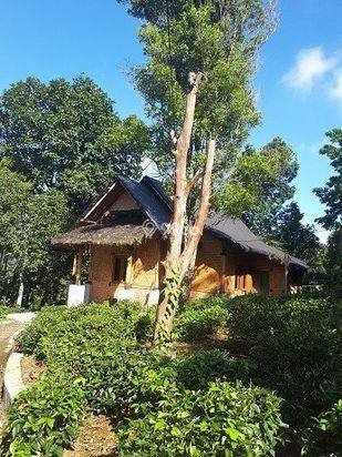 Jual Murah Rumah/Villa Kebun Asri dan  hawa Sejuk