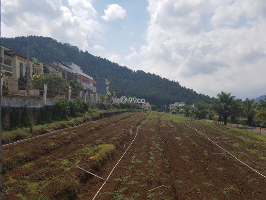 Rumah Bagus dan Siap Huni di Pakis Kab. Malang Rumah Bagus dan Siap Huni di Pakis Kab. Malang
