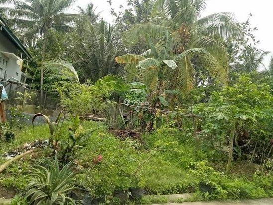 TANAH sertifikat Gunung lingai