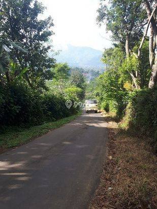 Jual Murah Rumah/Villa Kebun Asri dan  hawa Sejuk