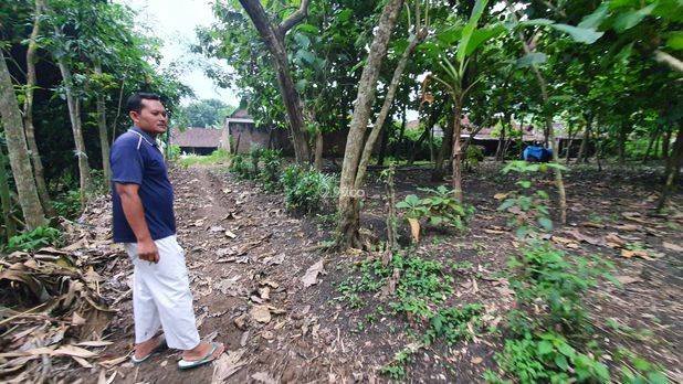 Tanah Kebun Jati Ngawi Kota
