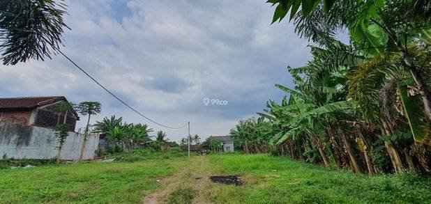 Tanah Murah Ungaran 4 Menit Kampus Undaris, SHM