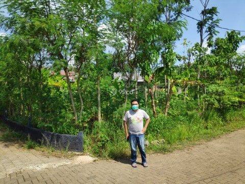 Tanah Kavling di Bulusan, Tembalang