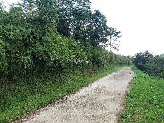 1Ha.SPPT/GIRIK Tanah di Kec Cigudeg Bogor
