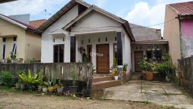 Rumah Murah Jual Cepat 170 Jt Daerah Pagar Drum 16 Kota Jambi