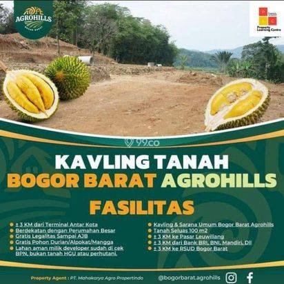 Investasi Kavling Kebun Termurah Di Leuwiliang Bogor Barat Investasi Kavling Kebun Termurah Di Leuwiliang Bogor Barat