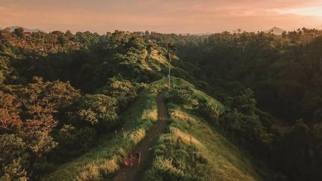Explore Campuhan Ridge Walk