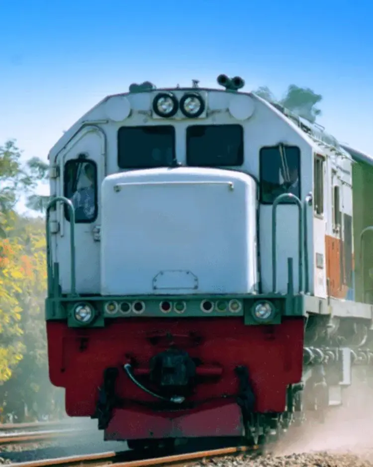Banner Banner