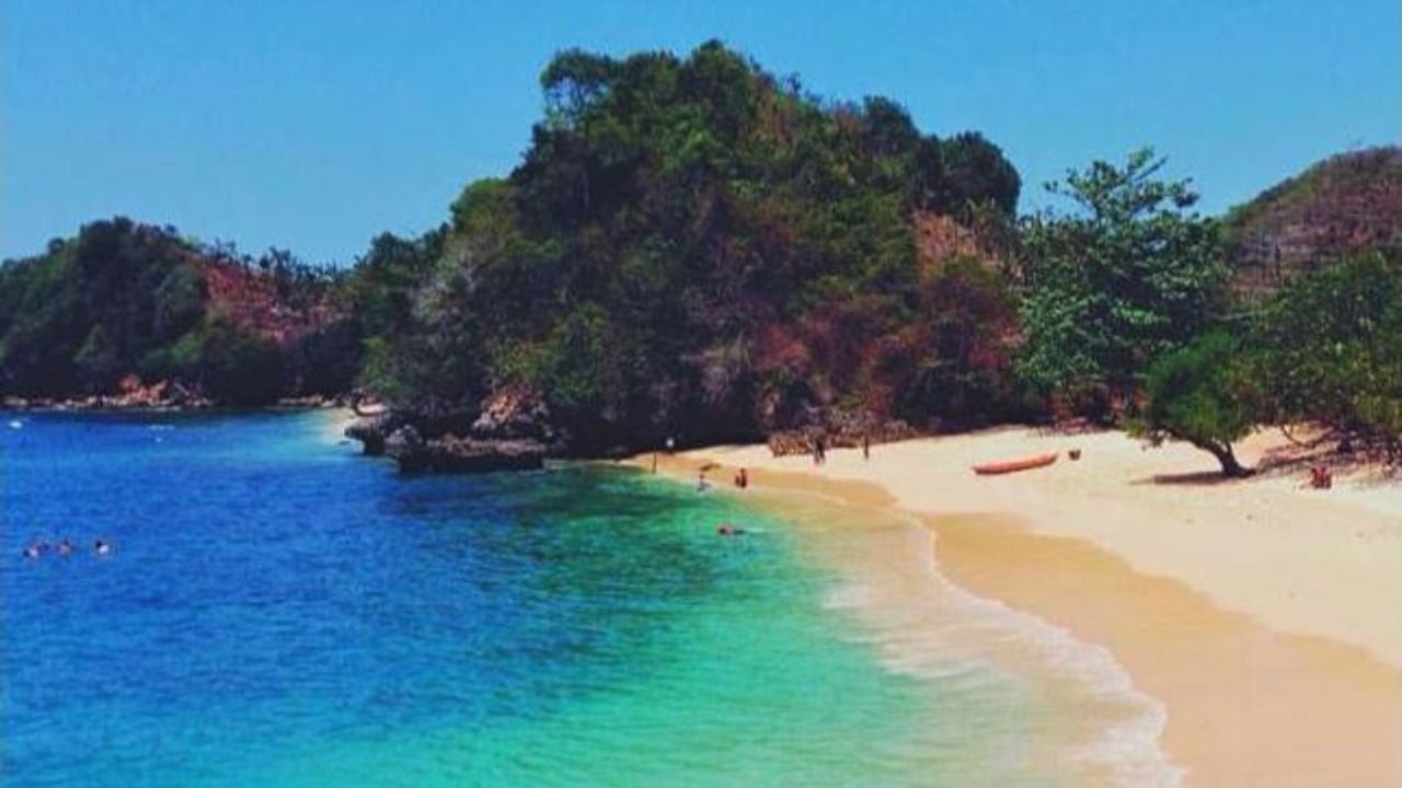 Banner 2