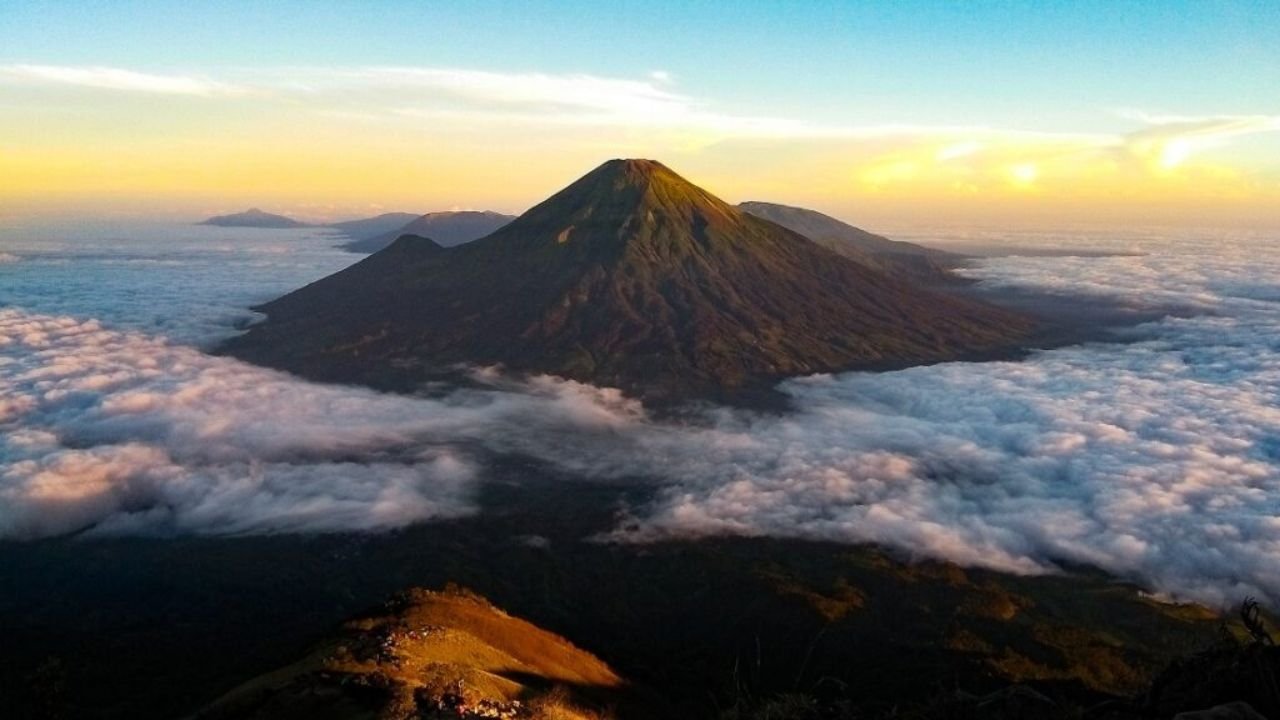 Banner 1