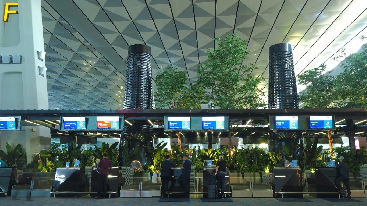 Banner 2
