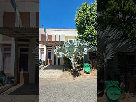 Disewakan Rumah Semi-Furnished 2KT 2KM De Serena Makassar Disewakan Rumah Semi-Furnished 2KT 2KM De Serena Makassar