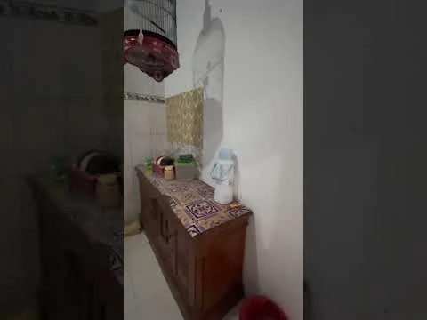Rumah Kontrakan Perumahan Bumi Suko Indah, 2 Lantai, 4 Kamar Tidur, Suko, Sidoarjo Rumah Kontrakan Perumahan Bumi Suko Indah, 2 Lantai, 4 Kamar Tidur, Suko, Sidoarjo