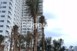 Apartemen Modern Dijual di Kebon Jeruk, Jakarta Barat Dilengkapi 1 KT dan 1 KM Apartemen Modern Dijual di Kebon Jeruk, Jakarta Barat Dilengkapi 1 KT dan 1 KM
