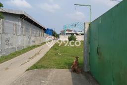 Gudang Strategis di Cikarang, Luas 400m², Area Bisnis, Dekat Cikarang, Bekasi, Bekasi Gudang Strategis di Cikarang, Luas 400m², Area Bisnis, Dekat Cikarang, Bekasi, Bekasi