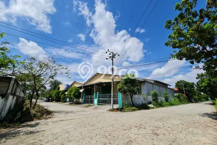 Gudang Bagus LT 3250m2 LB 2640m2 Dijual di Tamalanrea Makassar Gudang Bagus LT 3250m2 LB 2640m2 Dijual di Tamalanrea Makassar