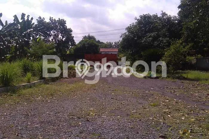 Disewakan Gudang Bisnis di Wonorejo Pasuruan Harga Sewa Menarik Bisa Nego Disewakan Gudang Bisnis di Wonorejo Pasuruan Harga Sewa Menarik Bisa Nego