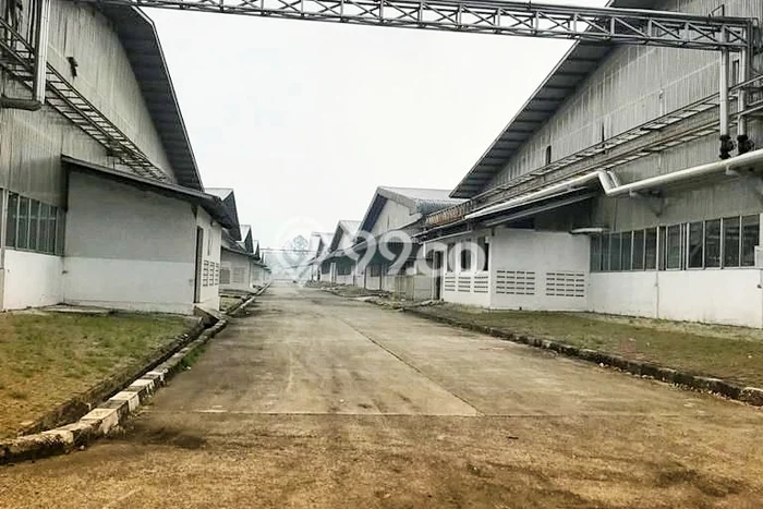 Area Ramai! Pabrik Dijual di Balaraja untuk Bisnis Luas Bangunan 98170m2 Area Ramai! Pabrik Dijual di Balaraja untuk Bisnis Luas Bangunan 98170m2