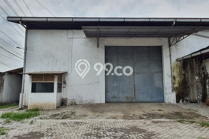 AREA BERKEMBANG! Gudang For Rent di Kaliwates, Luas 700m², Ready Usaha AREA BERKEMBANG! Gudang For Rent di Kaliwates, Luas 700m², Ready Usaha