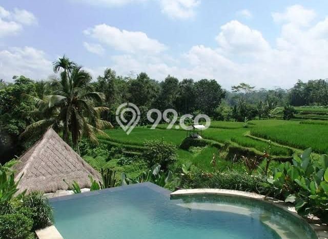 Unit Komersial Dijual di Gianyar LT 3300m2 & LB 1500m2 Unit Komersial Dijual di Gianyar LT 3300m2 & LB 1500m2