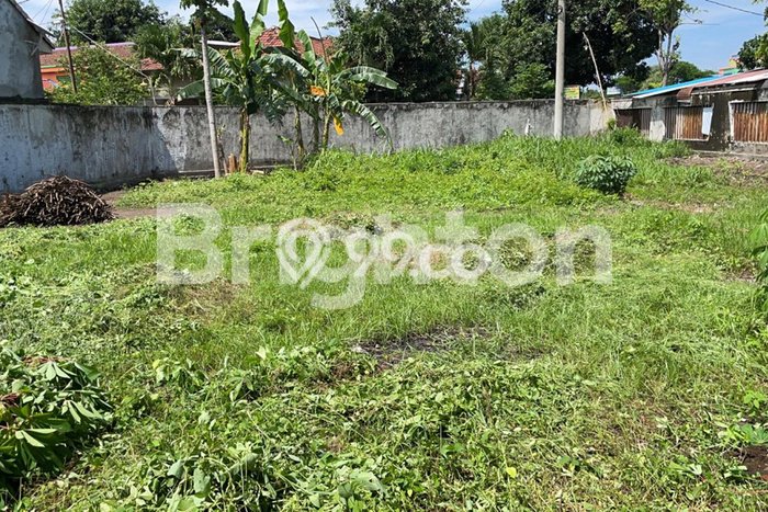 Dijual Gudang di Paiton Probolinggo LT 1100m2 / LB 300m2 Dijual Gudang di Paiton Probolinggo LT 1100m2 / LB 300m2