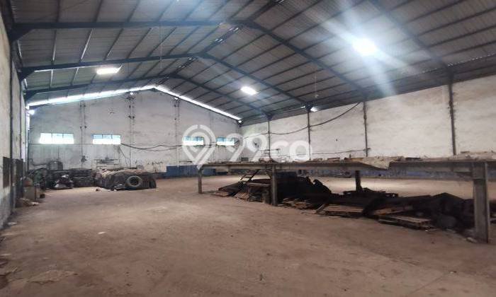 Gudang Disewa di Gresik dengan LB 4000m2 Area Komersial Ramai Gudang Disewa di Gresik dengan LB 4000m2 Area Komersial Ramai