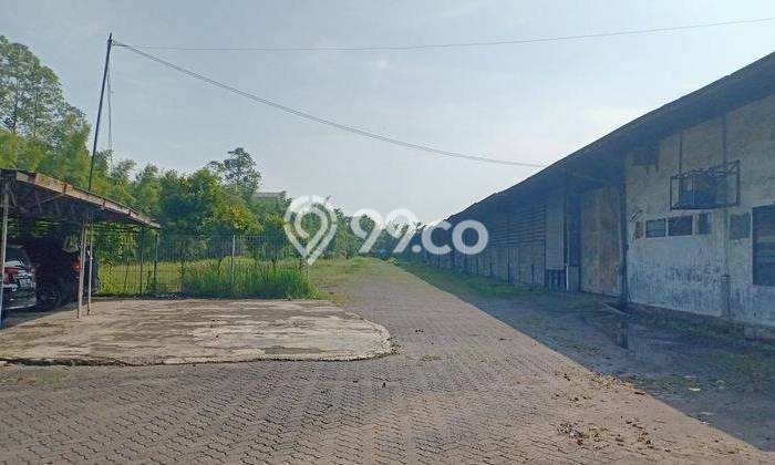 Gudang Bagus Dijual di Bitung Tangerang Strategis Cocok untuk Kembangkan Bisnis Gudang Bagus Dijual di Bitung Tangerang Strategis Cocok untuk Kembangkan Bisnis