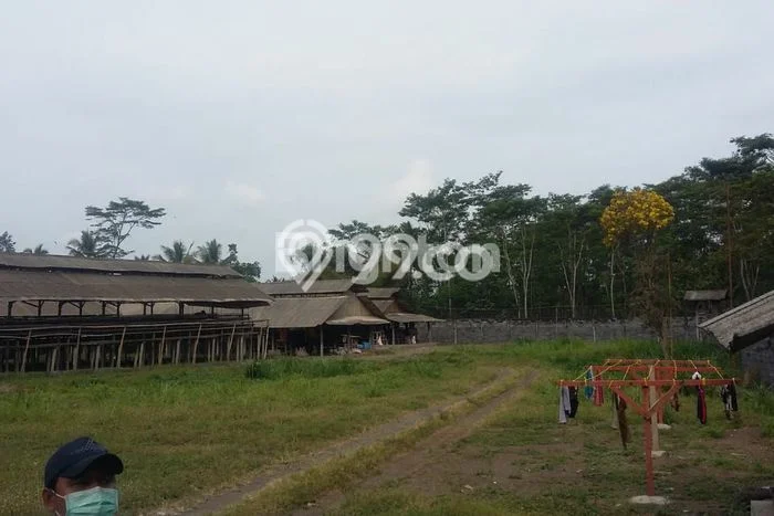 Komersial Favorit Dijual di Pasrujambe Lumajang Kawasan Pusat Bisnis Komersial Favorit Dijual di Pasrujambe Lumajang Kawasan Pusat Bisnis