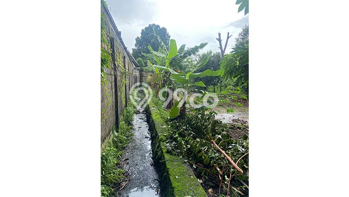 Gudang Dijual di Kemang Bogor dengan LB 6000m2 Gudang Dijual di Kemang Bogor dengan LB 6000m2