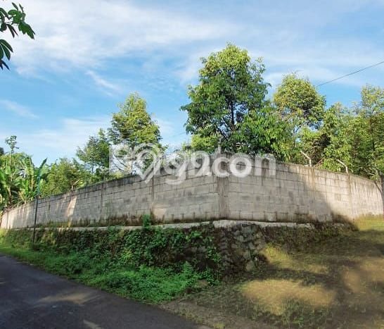 Untuk Dijual Komersial di Purwodadi Pasuruan LT 2291m2 / LB 5m2 Untuk Dijual Komersial di Purwodadi Pasuruan LT 2291m2 / LB 5m2