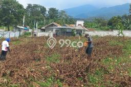 Rumah Nyaman 2 KT LB 60m2 Kondisi Bagus di Ciapus Rumah Nyaman 2 KT LB 60m2 Kondisi Bagus di Ciapus