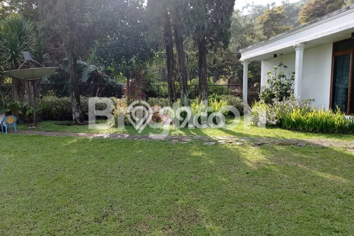 SPECIAL PRICE! Rumah Asri lokasi Pandaan, Luas 900m2m² Bangunan 400m2m² SPECIAL PRICE! Rumah Asri lokasi Pandaan, Luas 900m2m² Bangunan 400m2m²