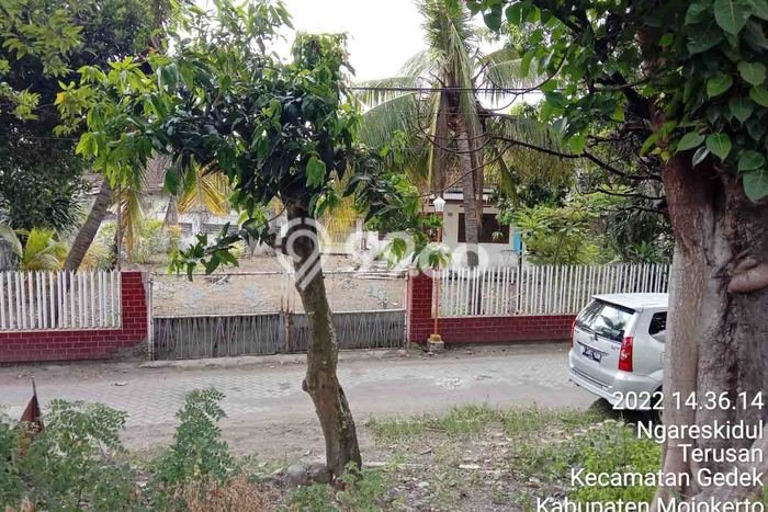 Rumah Elit Modern Tanpa Renovasi di Gedeg Mojokerto Rumah Elit Modern Tanpa Renovasi di Gedeg Mojokerto