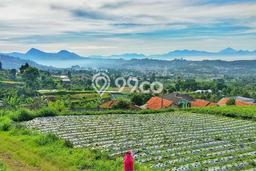 Dijual Rumah Mewah Elegan Dengan View Eksklusif di Lembang, Bandung Dijual Rumah Mewah Elegan Dengan View Eksklusif di Lembang, Bandung