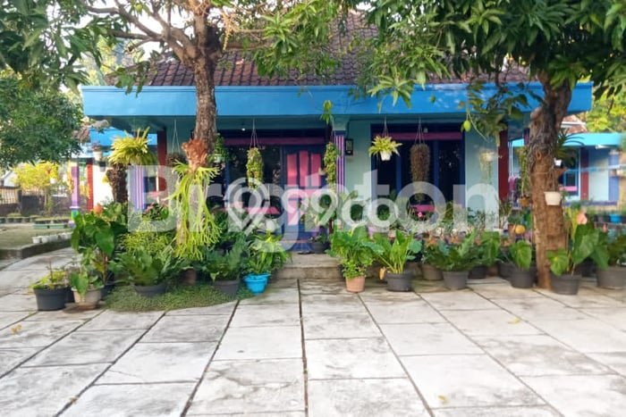 Jual Rumah Favorit Siap Huni LB 400m2 di Wonosari, Gunung Kidul Jual Rumah Favorit Siap Huni LB 400m2 di Wonosari, Gunung Kidul