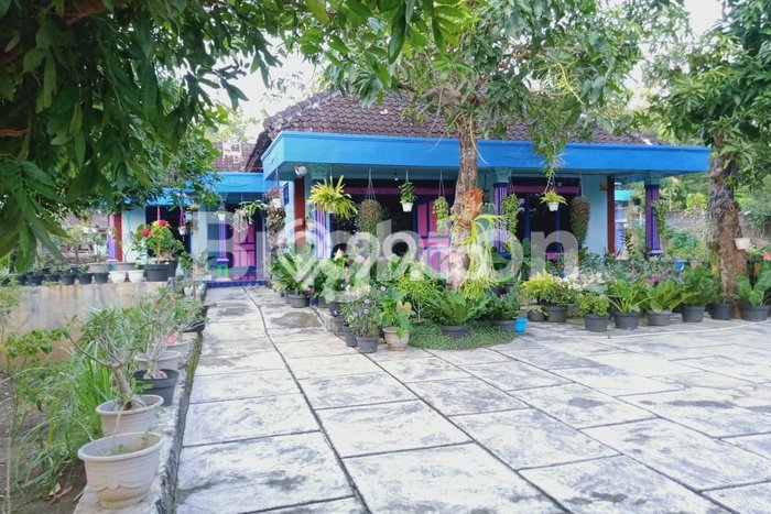 Jual Rumah Favorit Siap Huni LB 400m2 di Wonosari, Gunung Kidul Jual Rumah Favorit Siap Huni LB 400m2 di Wonosari, Gunung Kidul