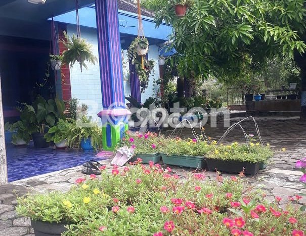 Jual Rumah Favorit Siap Huni LB 400m2 di Wonosari, Gunung Kidul Jual Rumah Favorit Siap Huni LB 400m2 di Wonosari, Gunung Kidul